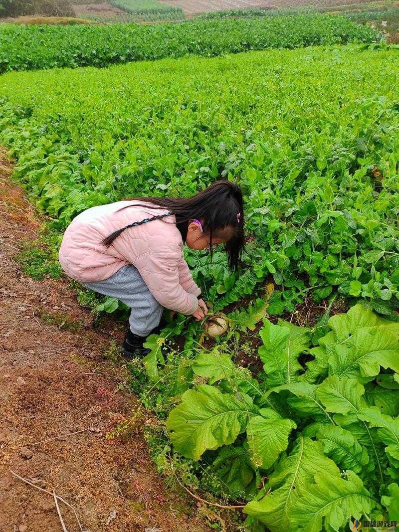 我与爱人在二人世界里快乐地拔萝卜呀