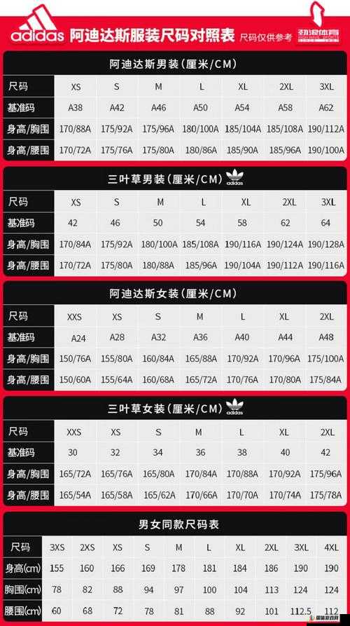 三叶草 M 码与欧洲码的详细区别解析及尺码选择建议指南